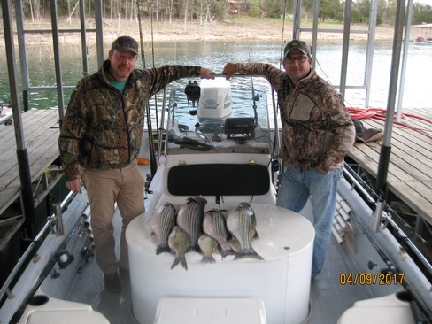 Nice Striped Bass